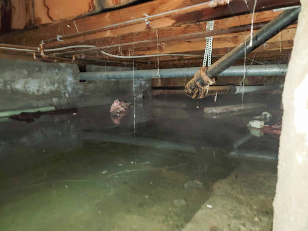 Best Commercial water damage restoration  in Prairie Du Sac, WI