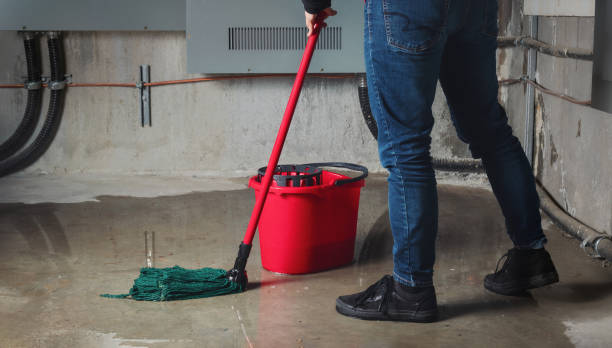 Best Water damage restoration specialists  in Prairie Du Sac, WI