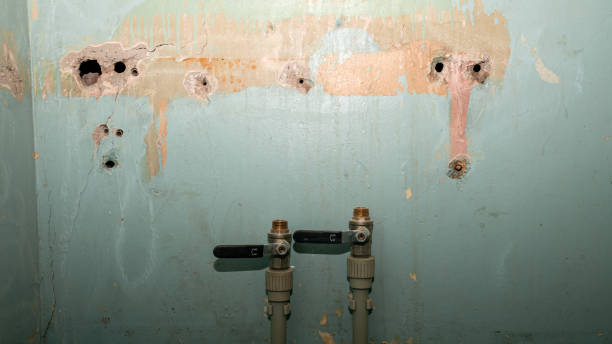Best Carpet water damage restoration  in Prairie Du Sac, WI
