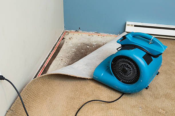 Best Professional water damage repair  in Prairie Du Sac, WI
